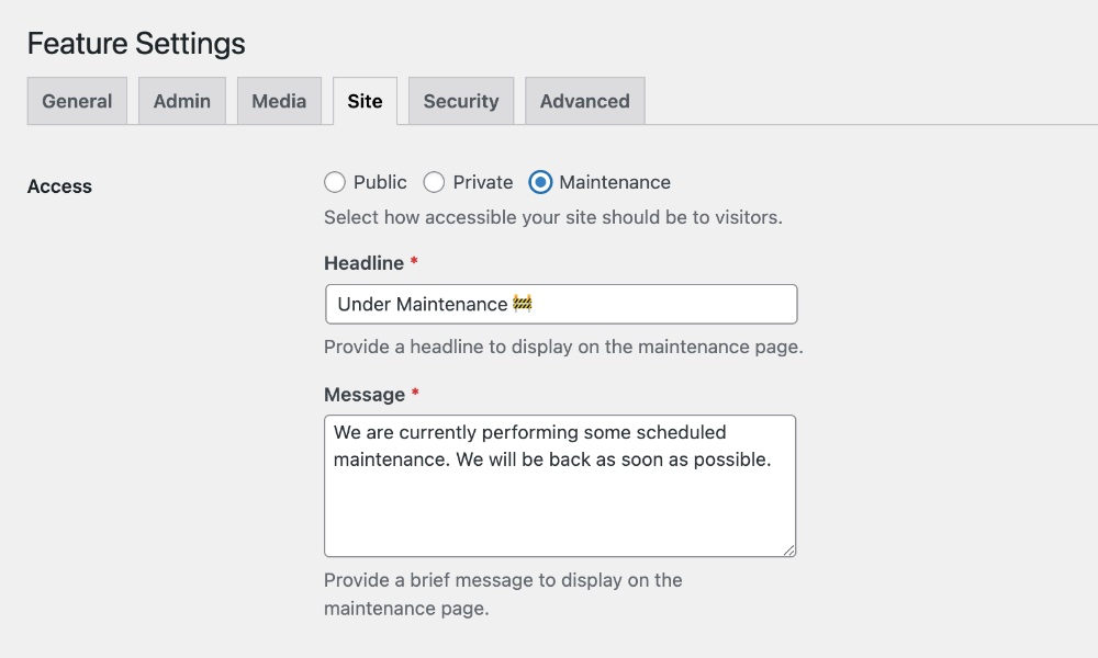 Feature Flipper plugin maintenance mode settings interface
